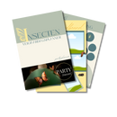 Party Planner Thema: INSECTEN