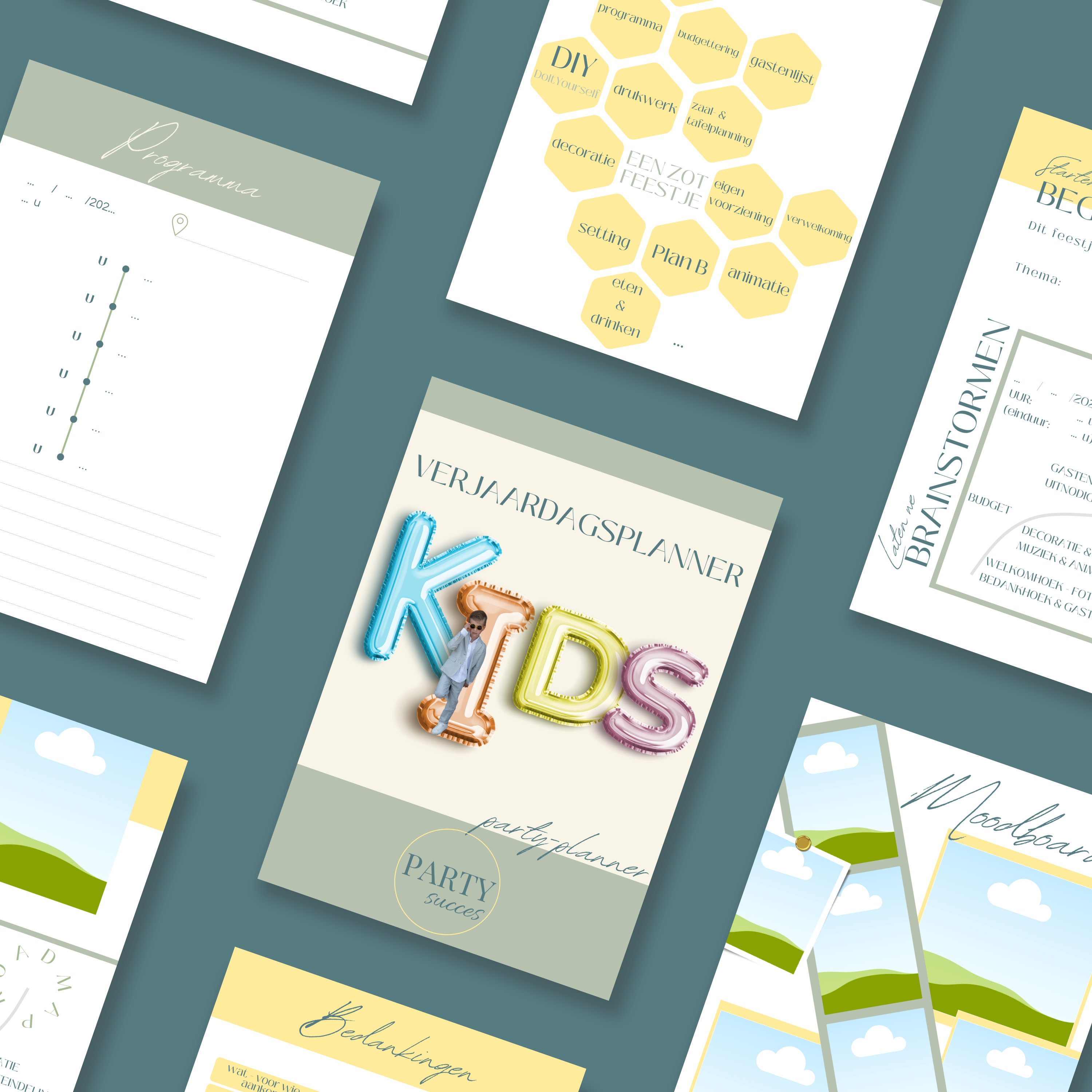 Party Planner: VERJAARDAG