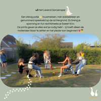 Prints Sweet16 TexMex – Levend ganzenspel