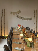 Party Planner Thema: INSECTEN